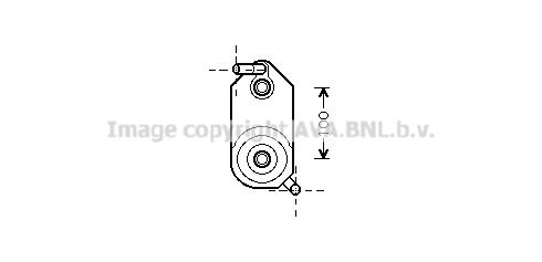 AVA QUALITY COOLING Масляный радиатор, автоматическая коробка передач VW3110